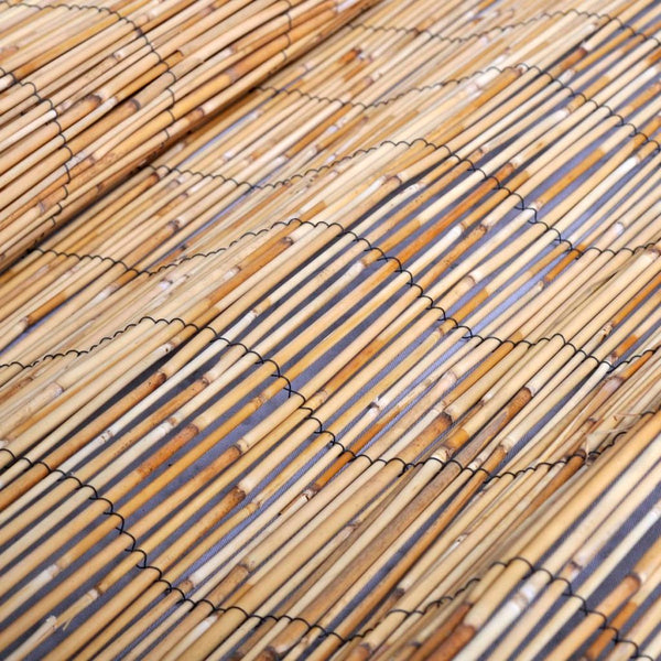Reed fence 4.9'x16.4'