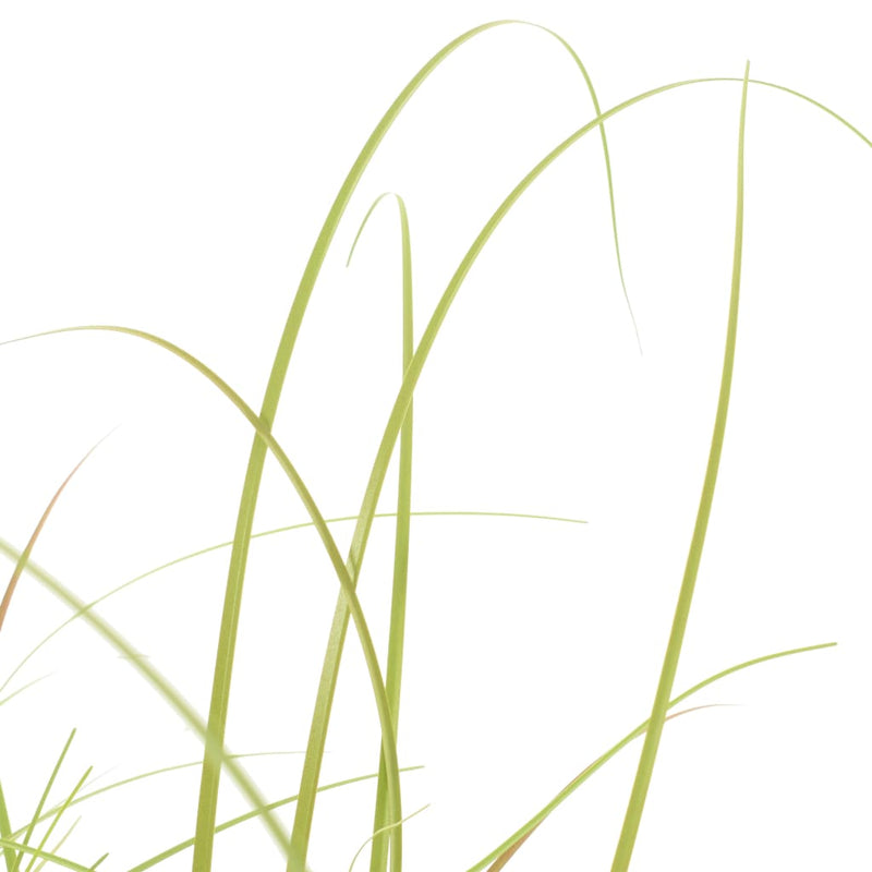 Artificial Grass Plant 37.4"