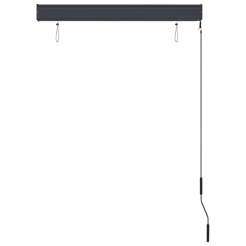 Outdoor Roller Blind 39.4"x98.4" Anthracite