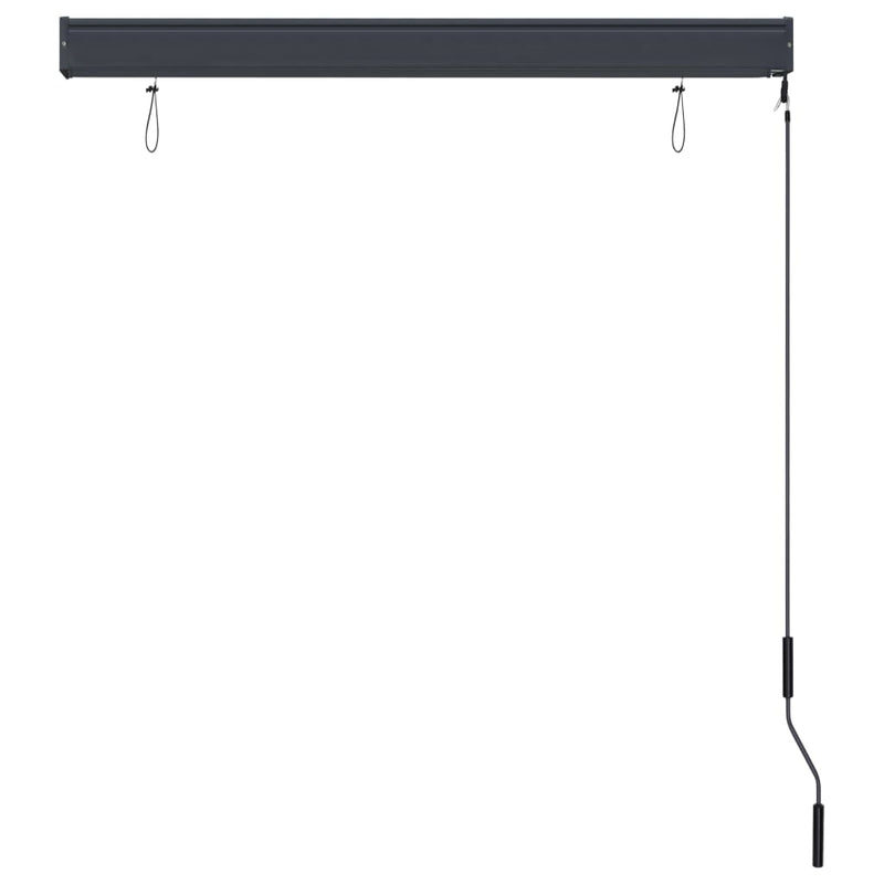 Outdoor Roller Blind 47.2"x98.4" Anthracite
