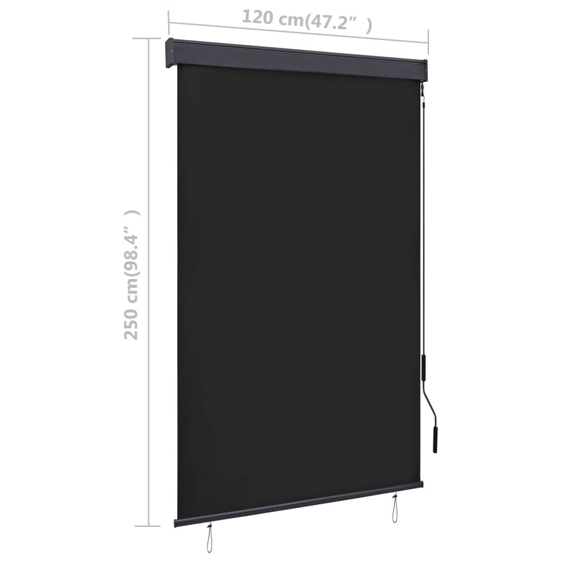 Outdoor Roller Blind 47.2"x98.4" Anthracite