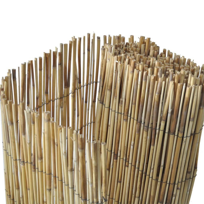 Garden Reed Fence 196.9"x49.2"