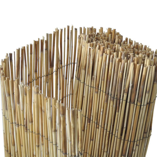 Garden Reed fence 59.1"x393.7"