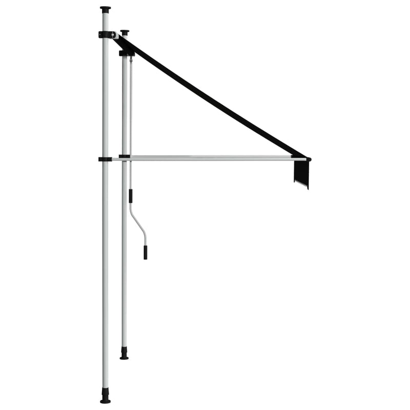 Manual Retractable Awning 39.4" Anthracite